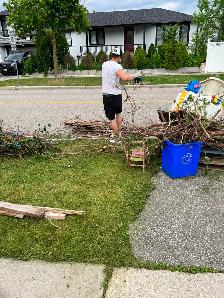 Looking for strong workers in Dunville sarnia or lasalle Ontario - Photo 4