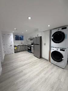 Brand New Legal Luxury Basement Apartment for Rent - Photo 5