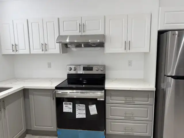 Brand New Legal Luxury Basement Apartment for Rent - Photo 10