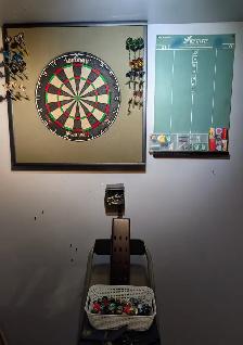 Professional dartboard