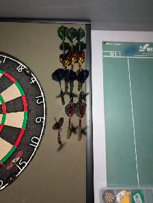 Professional dartboard - Photo 3