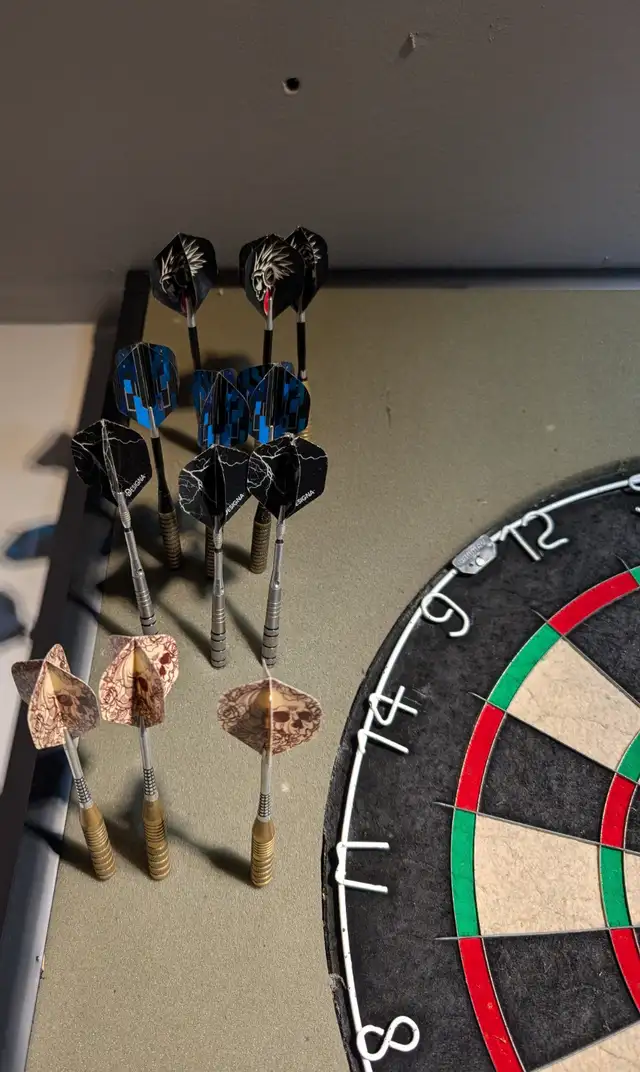 Professional dartboard - Photo 4