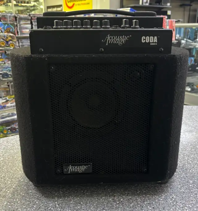 Acoustic Image Guitar Combo Amp
