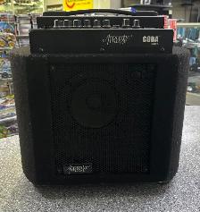 Acoustic Image Guitar Combo Amp