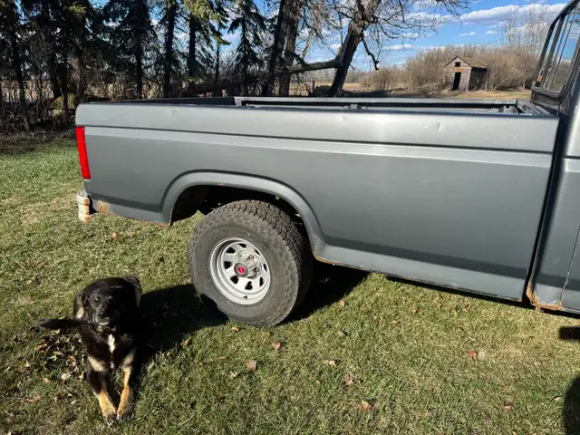 1986 Ford F150 - Photo 3