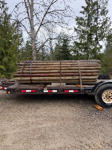 TREATED FENCE POSTS