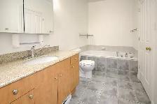 À louer Condo 4 1/2   Den for rent (Centre ville-Downtown) - Photo 8