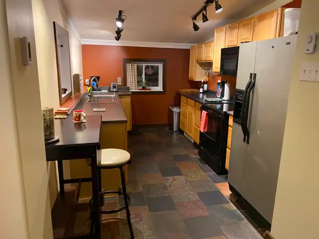 Fully furnished 2 bedroom.  Heat, light, and internet included - Photo 4
