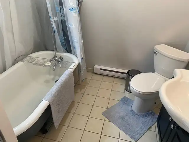 Fully furnished 2 bedroom.  Heat, light, and internet included - Photo 18