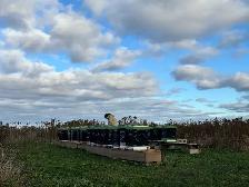HONEY BEES FOR SALE!! - Photo 2
