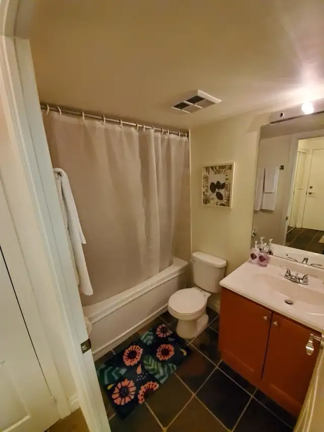 FABULOUS STUDIO CONDO FOR RENT. LAKESHORE - Photo 2