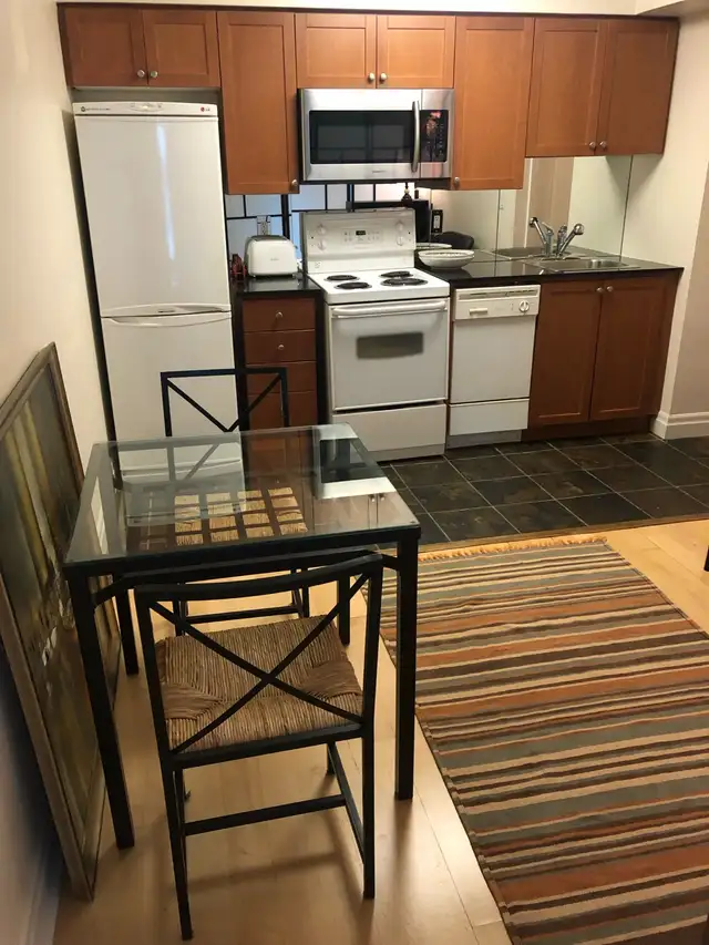 FABULOUS STUDIO CONDO FOR RENT. LAKESHORE - Photo 8