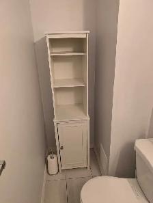 Bathroom Shelf/Cabinet