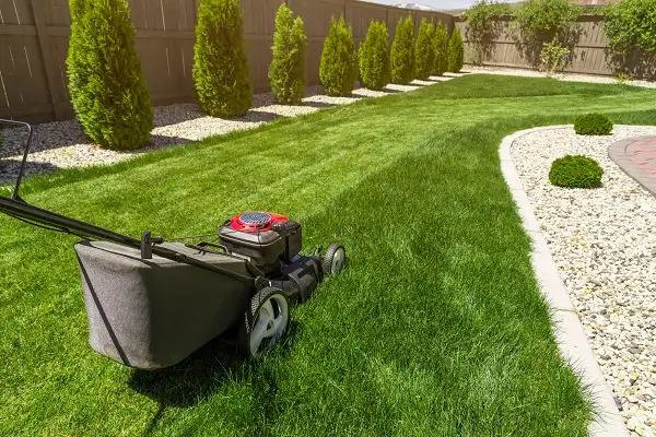 SPRING CLEANUP— YARD CLEANUP, LAWN CARE, GARDEN CLEANUP & JUNK R