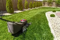 SPRING CLEANUP— YARD CLEANUP, LAWN CARE, GARDEN CLEANUP & JUNK R