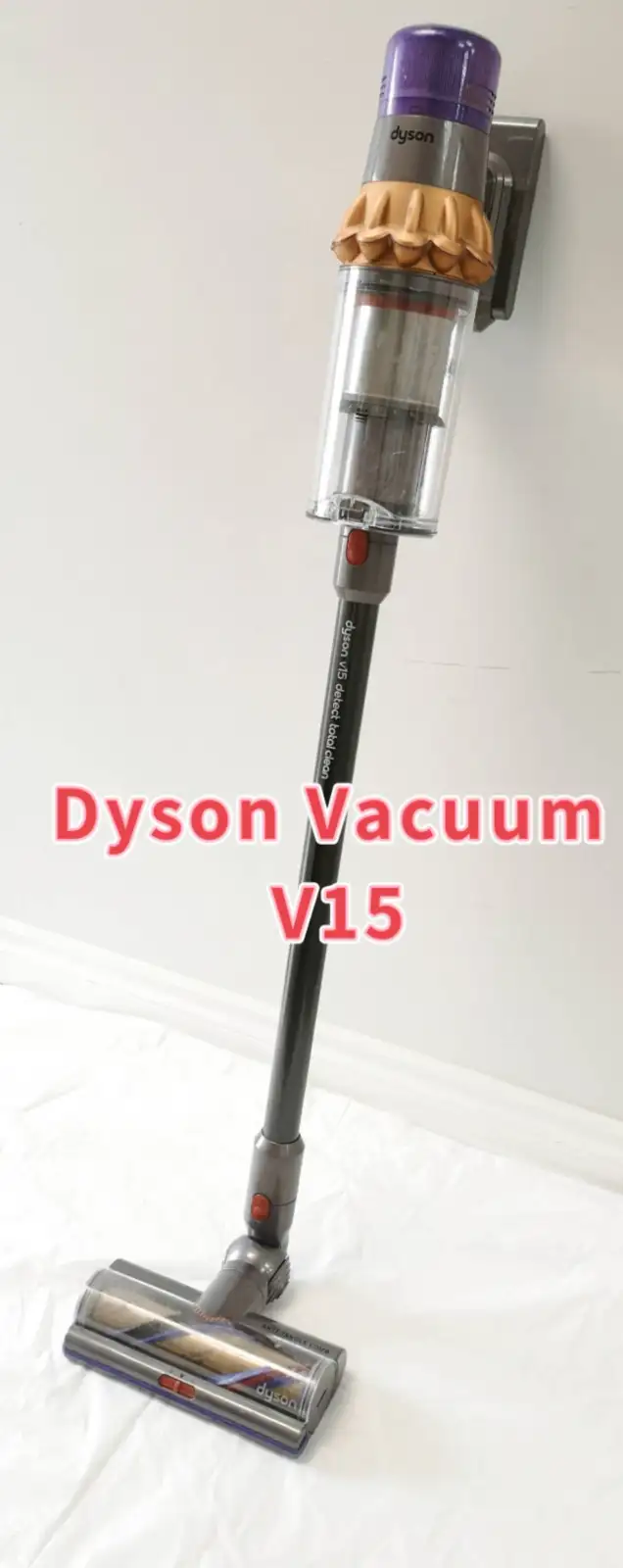 Premium Cleaning Power, Dyson V15 ($350)& V8 ($180)