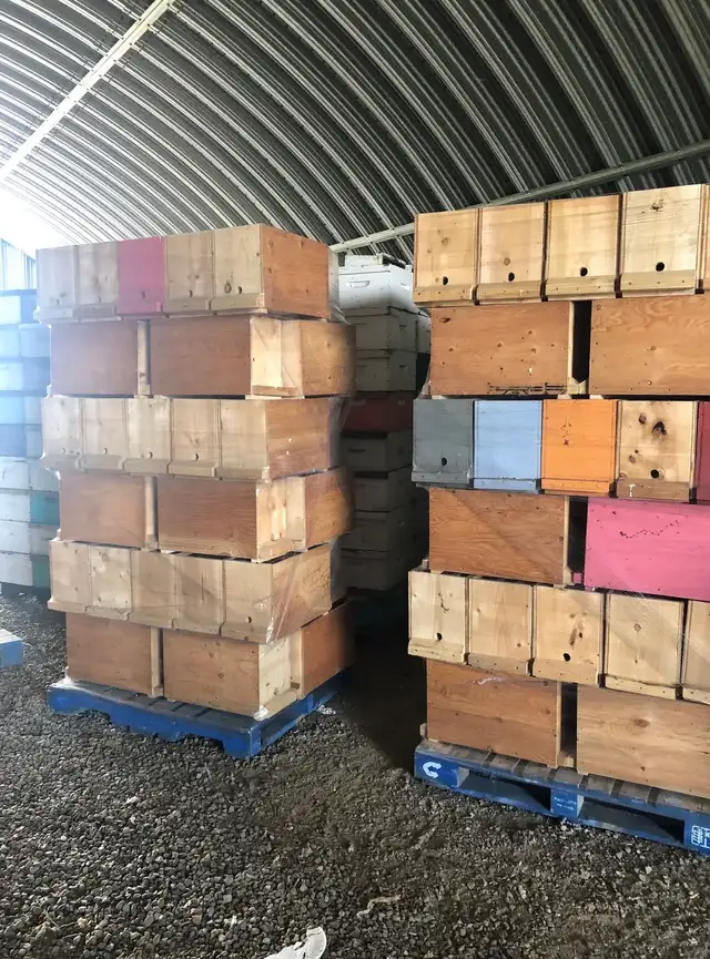 TODAY!  Beekeeping Equipment Blowout Sale! - Photo 2