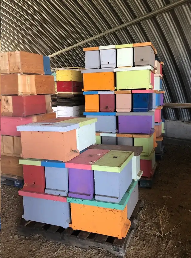 TODAY!  Beekeeping Equipment Blowout Sale! - Photo 3