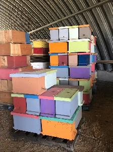 TODAY!  Beekeeping Equipment Blowout Sale! - Photo 3