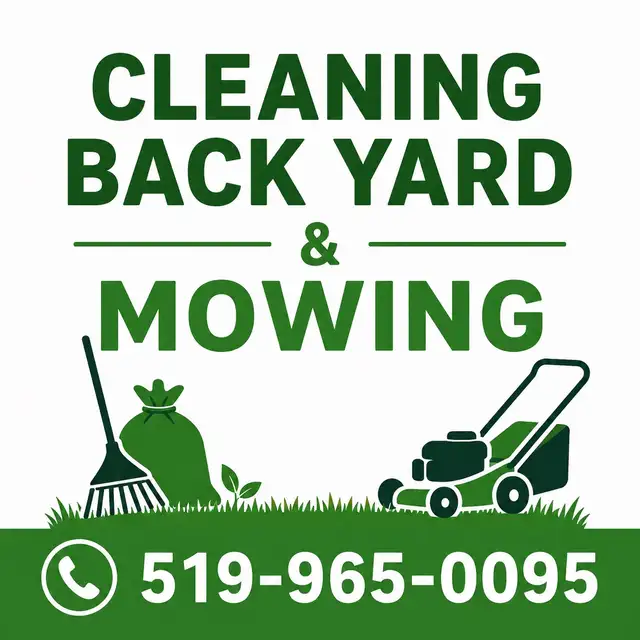 mowing and back yard cleaning