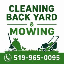 mowing and back yard cleaning