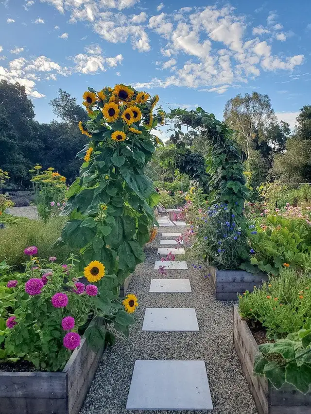 Spring Outdoor & Garden Cleanup — Plants, Soil, Fertilizer, Lawn