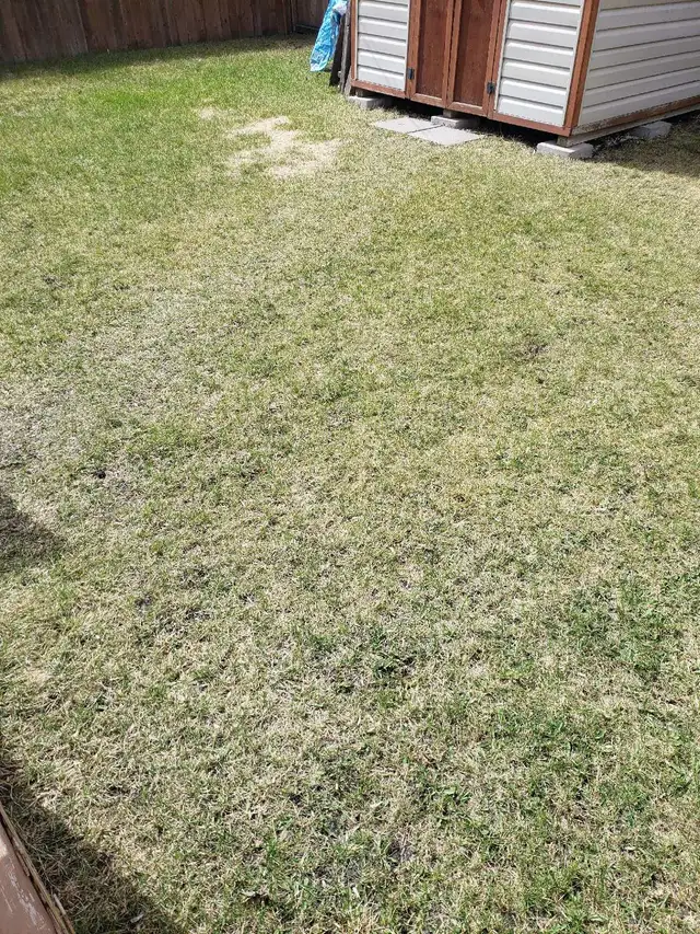 Yard work today 15 per hr