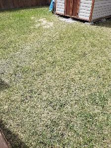 Yard work today 15 per hr