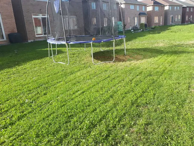 Affordable Lawn Care and Outdoor Services - Photo 2