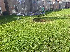 Affordable Lawn Care and Outdoor Services - Photo 2