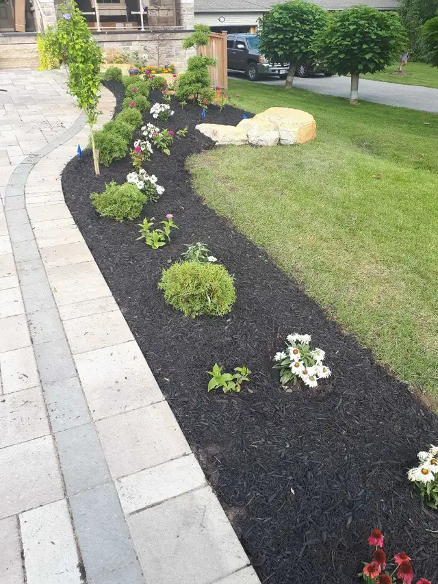Affordable Lawn Care and Outdoor Services - Photo 3