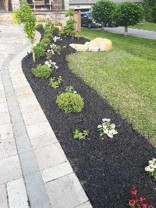 Affordable Lawn Care and Outdoor Services - Photo 3