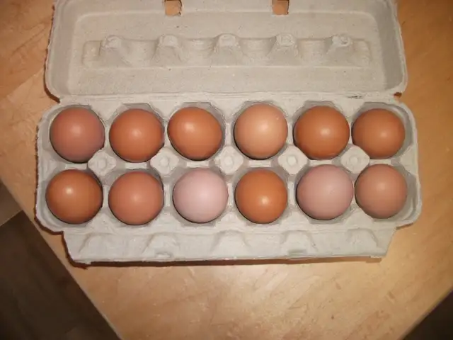 Free-Range Brown Eggs
