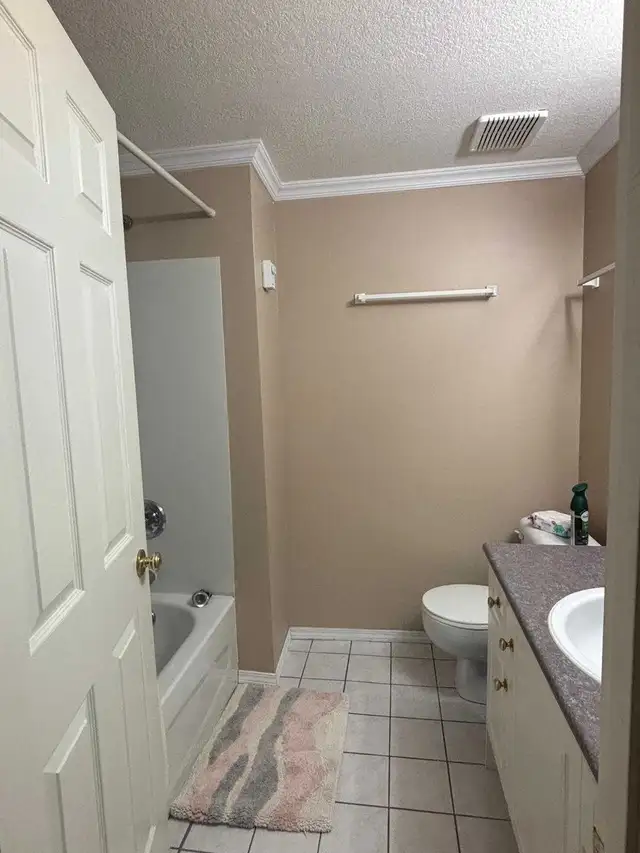 3 bedroom 2 bathroom - Photo 5