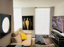 A louer 2 Bedroom DOWNTOWN Condo for Rent - Photo 5