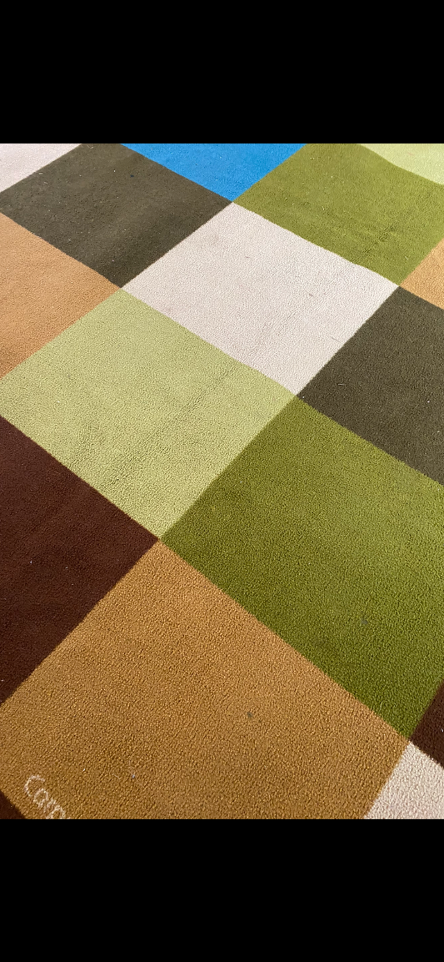 CARPET. LAYOUT - Photo 4