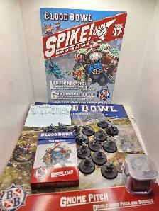 Warhammer Blood Bowl Gnome Team lot