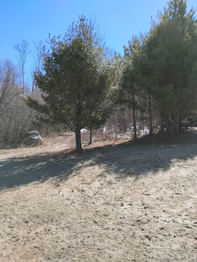 beautiful property for rent (with house and garage) - Photo 6