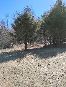 beautiful property for rent (with house and garage) - Photo 6
