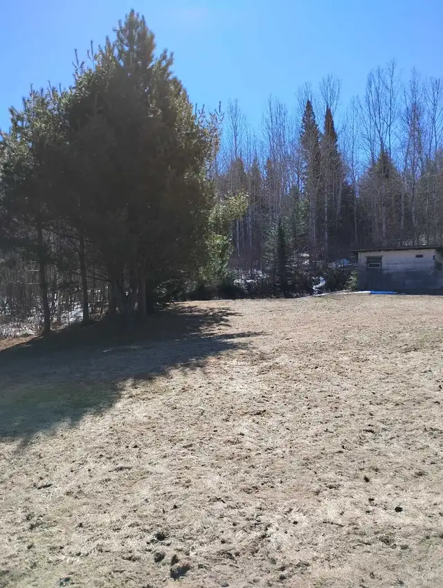 beautiful property for rent (with house and garage) - Photo 7