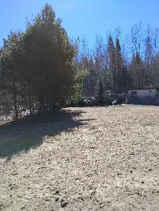 beautiful property for rent (with house and garage) - Photo 7