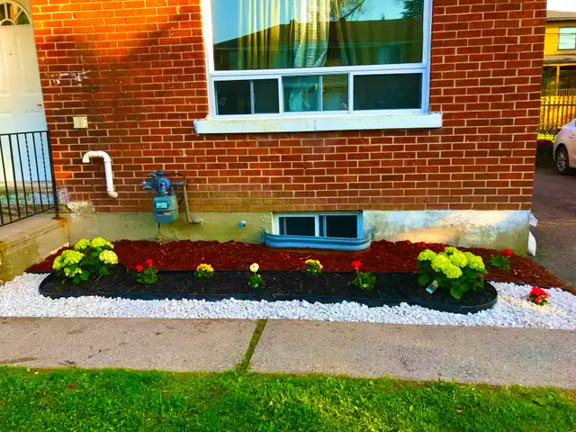 Lawnmowing and Yard cleaning service - Photo 3