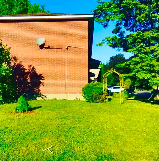 Lawnmowing and Yard cleaning service - Photo 5