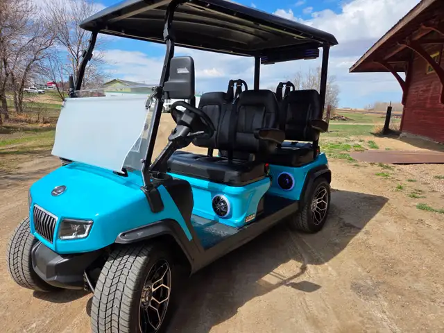 ! only 2025 D5 Golf Cart with 2000$ 2025 Factory Discount
