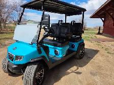 ! only 2025 D5 Golf Cart with 2000$ 2025 Factory Discount