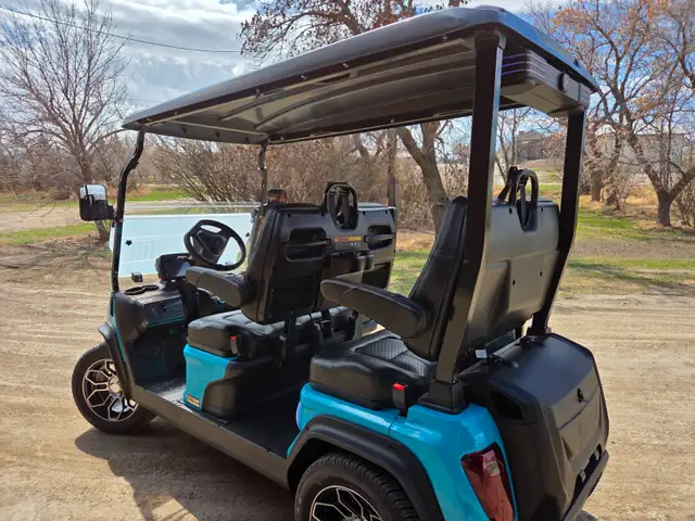 ! only 2025 D5 Golf Cart with 2000$ 2025 Factory Discount - Photo 2