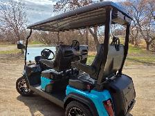 ! only 2025 D5 Golf Cart with 2000$ 2025 Factory Discount - Photo 2