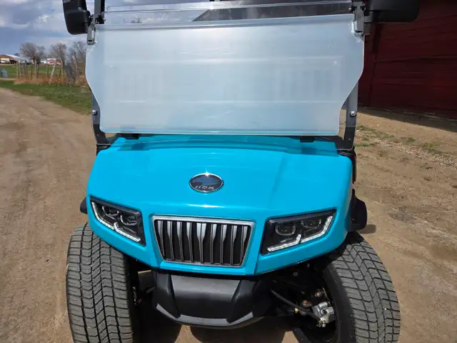 ! only 2025 D5 Golf Cart with 2000$ 2025 Factory Discount - Photo 3