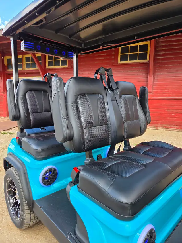 ! only 2025 D5 Golf Cart with 2000$ 2025 Factory Discount - Photo 4