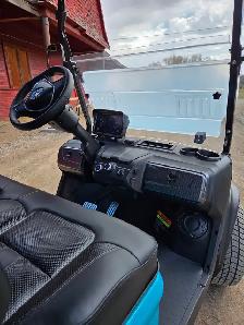 ! only 2025 D5 Golf Cart with 2000$ 2025 Factory Discount - Photo 5